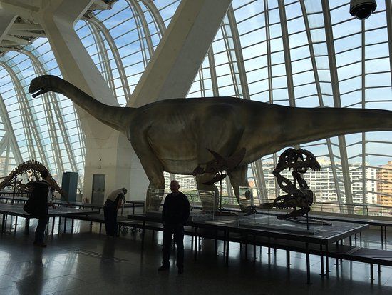 Museu da Ciência Natural